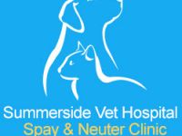 Pets / Pet Accessories Veterinary Clinics Edmonton