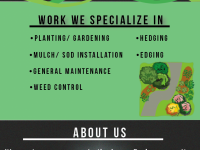 Home & Garden Services Blooms Gardening and Landscaping -- AFFORDABLE PRICING --