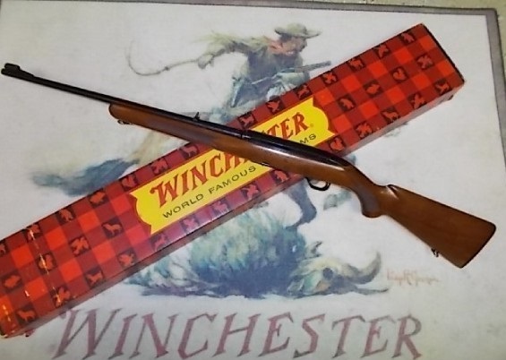winchester 100 recall number